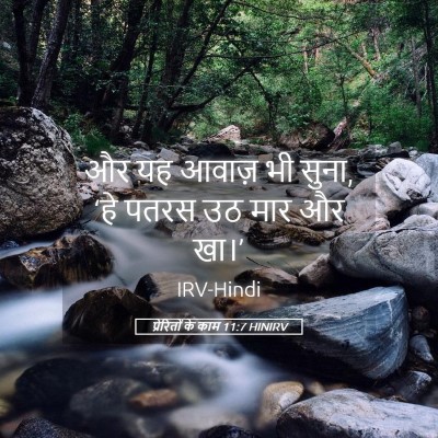 Picture 05 - प्रेरितों के काम 11:7 HINIRV - और यह आवाज़ भी - Bible Verse Picture