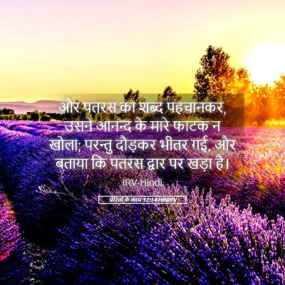 Picture 05 - प्रेरितों के काम 12:14 HINIRV - और पतरस का शब्द - Bible Verse Picture