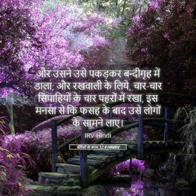 Picture 05 - प्रेरितों के काम 12:4 HINIRV - और उसने उसे पकड़कर - Bible Verse Picture