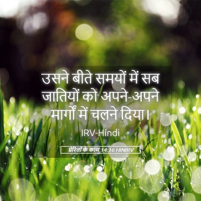 Picture 05 - प्रेरितों के काम 14:16 HINIRV - उसने बीते समयों - Bible Verse Picture