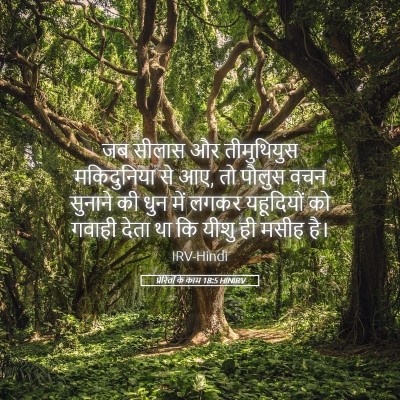 Picture 05 - प्रेरितों के काम 18:5 HINIRV - जब सीलास और - Bible Verse Picture