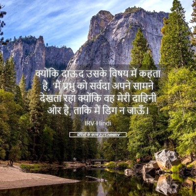 Picture 05 - प्रेरितों के काम 2:25 HINIRV - क्योंकि दाऊद उसके - Bible Verse Picture