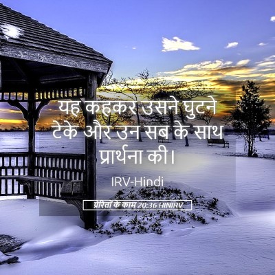 Picture 05 - प्रेरितों के काम 20:36 HINIRV - यह कहकर उसने घुटने - Bible Verse Picture