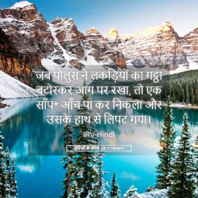 Picture 05 - प्रेरितों के काम 28:3 HINIRV - जब पौलुस ने - Bible Verse Picture