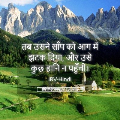 Picture 05 - प्रेरितों के काम 28:5 HINIRV - तब उसने साँप को आग - Bible Verse Picture