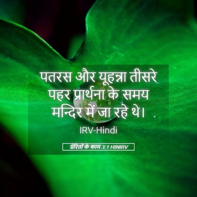 Picture 05 - प्रेरितों के काम 3:1 HINIRV - पतरस और यूहन्ना - Bible Verse Picture
