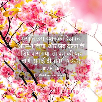 Picture 05 - प्रेरितों के काम 7:31 HINIRV - मूसा ने उस दर्शन को - Bible Verse Picture