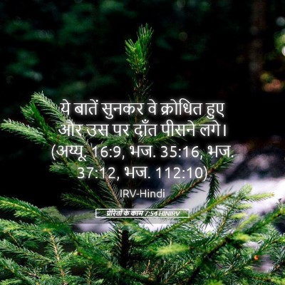 Picture 05 - प्रेरितों के काम 7:54 HINIRV - ये बातें सुनकर वे - Bible Verse Picture