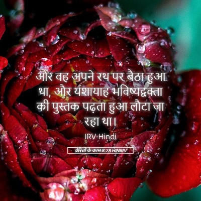 Picture 05 - प्रेरितों के काम 8:28 HINIRV - और वह अपने रथ पर - Bible Verse Picture