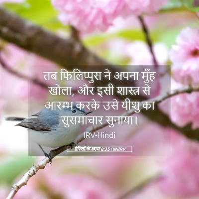 Picture 05 - प्रेरितों के काम 8:35 HINIRV - तब फिलिप्पुस ने - Bible Verse Picture