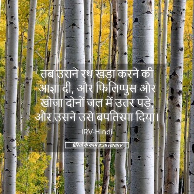 Picture 05 - प्रेरितों के काम 8:38 HINIRV - तब उसने रथ खड़ा - Bible Verse Picture
