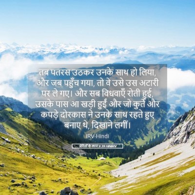 Picture 05 - प्रेरितों के काम 9:39 HINIRV - तब पतरस उठकर उनके - Bible Verse Picture