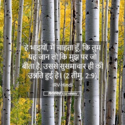 Picture 05 - फिलिप्पियों 1:12 HINIRV - हे भाइयों, मैं - Bible Verse Picture