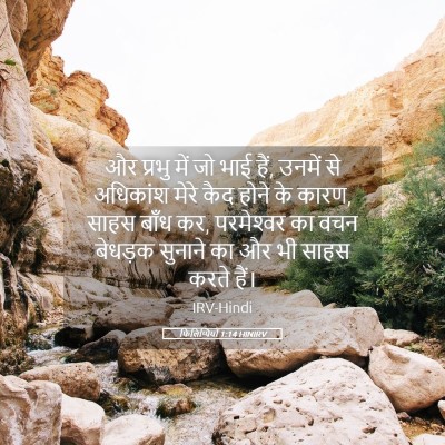 Picture 05 - फिलिप्पियों 1:14 HINIRV - और प्रभु में जो भाई - Bible Verse Picture