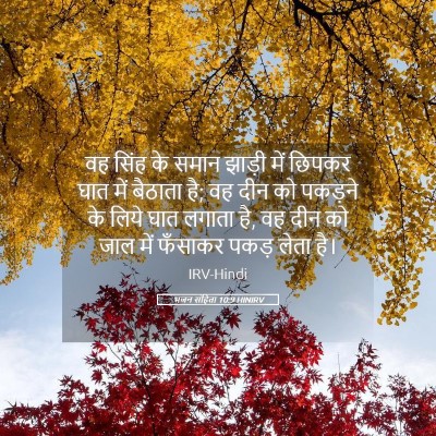 Picture 05 - भजन संहिता 10:9 HINIRV - वह सिंह के समान - Bible Verse Picture
