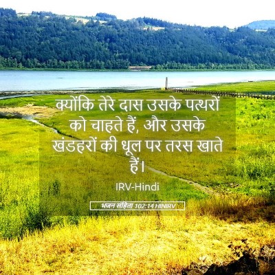 Picture 05 - भजन संहिता 102:14 HINIRV - क्योंकि तेरे दास - Bible Verse Picture