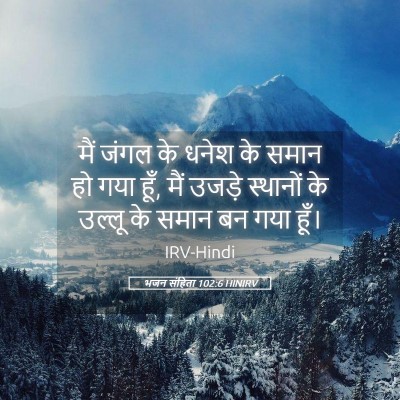Picture 05 - भजन संहिता 102:6 HINIRV - मैं जंगल के धनेश के - Bible Verse Picture