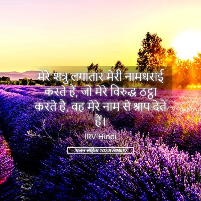 Picture 05 - भजन संहिता 102:8 HINIRV - मेरे शत्रु लगातार - Bible Verse Picture