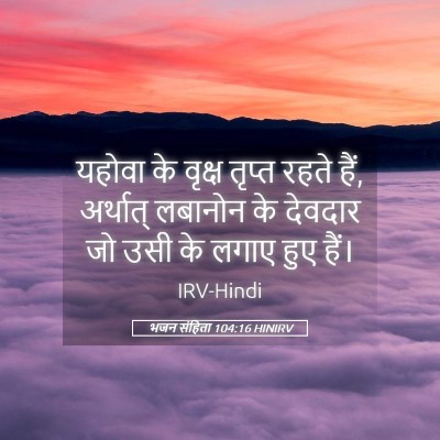Picture 05 - भजन संहिता 104:16 HINIRV - यहोवा के वृक्ष - Bible Verse Picture
