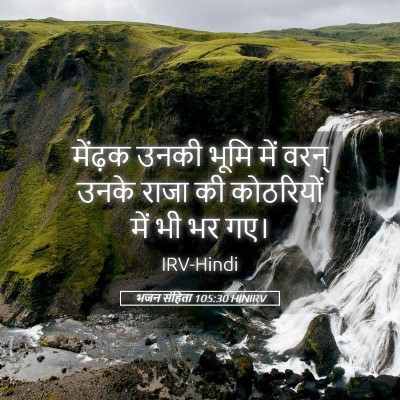 Picture 05 - भजन संहिता 105:30 HINIRV - मेंढ़क उनकी भूमि - Bible Verse Picture
