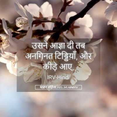 Picture 05 - भजन संहिता 105:34 HINIRV - उसने आज्ञा दी तब - Bible Verse Picture