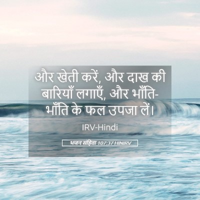 Picture 05 - भजन संहिता 107:37 HINIRV - और खेती करें, और - Bible Verse Picture
