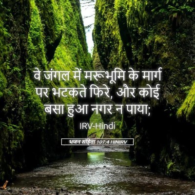 Picture 05 - भजन संहिता 107:4 HINIRV - वे जंगल में - Bible Verse Picture