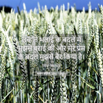 Picture 05 - भजन संहिता 109:5 HINIRV - उन्होंने भलाई के - Bible Verse Picture