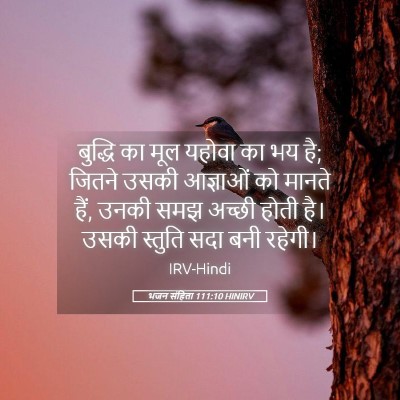 Picture 05 - भजन संहिता 111:10 HINIRV - बुद्धि का मूल - Bible Verse Picture