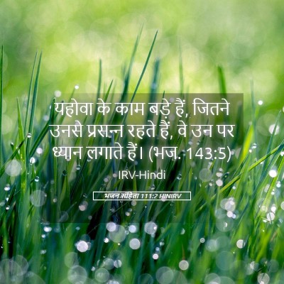 Picture 05 - भजन संहिता 111:2 HINIRV - यहोवा के काम बड़े - Bible Verse Picture
