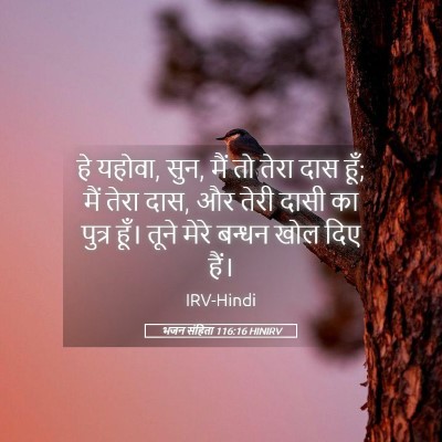Picture 05 - भजन संहिता 116:16 HINIRV - हे यहोवा, सुन, मैं - Bible Verse Picture