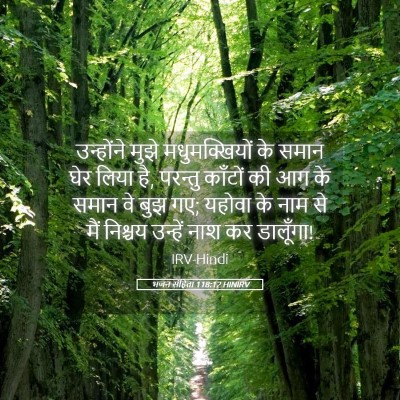 Picture 05 - भजन संहिता 118:12 HINIRV - उन्होंने मुझे - Bible Verse Picture