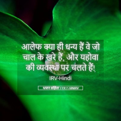 Picture 05 - भजन संहिता 119:1 HINIRV - आलेफ क्या ही धन्य - Bible Verse Picture