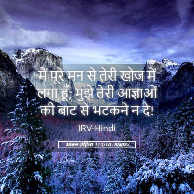 Picture 05 - भजन संहिता 119:10 HINIRV - मैं पूरे मन से तेरी - Bible Verse Picture