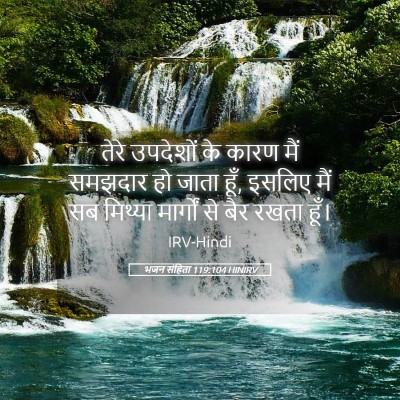 Picture 05 - भजन संहिता 119:104 HINIRV - तेरे उपदेशों के - Bible Verse Picture