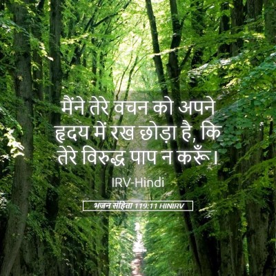 Picture 05 - भजन संहिता 119:11 HINIRV - मैंने तेरे वचन को - Bible Verse Picture