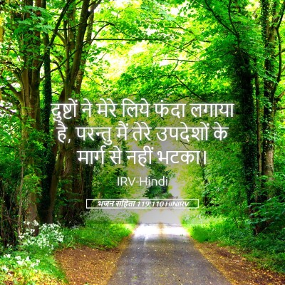 Picture 05 - भजन संहिता 119:110 HINIRV - दुष्टों ने मेरे - Bible Verse Picture