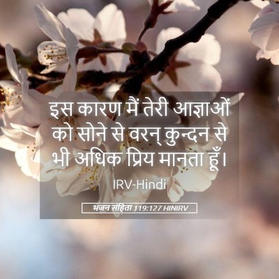 Picture 05 - भजन संहिता 119:127 HINIRV - इस कारण मैं तेरी - Bible Verse Picture