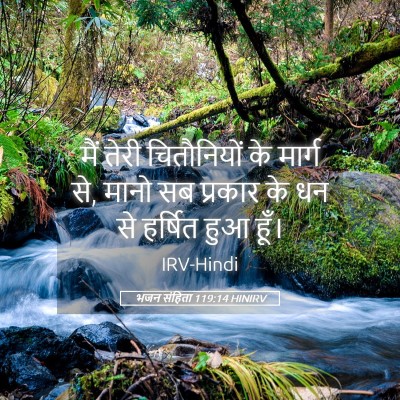 Picture 05 - भजन संहिता 119:14 HINIRV - मैं तेरी - Bible Verse Picture