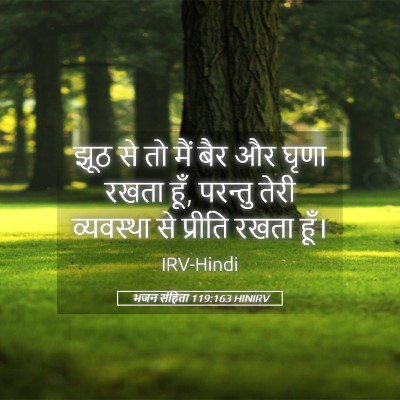 Picture 05 - भजन संहिता 119:163 HINIRV - झूठ से तो मैं बैर - Bible Verse Picture