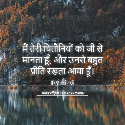 Picture 05 - भजन संहिता 119:167 HINIRV - मैं तेरी - Bible Verse Picture