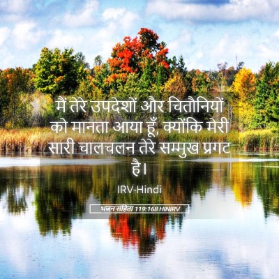 Picture 05 - भजन संहिता 119:168 HINIRV - मैं तेरे उपदेशों - Bible Verse Picture