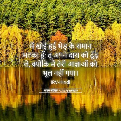 Picture 05 - भजन संहिता 119:176 HINIRV - मैं खोई हुई भेड़ के - Bible Verse Picture