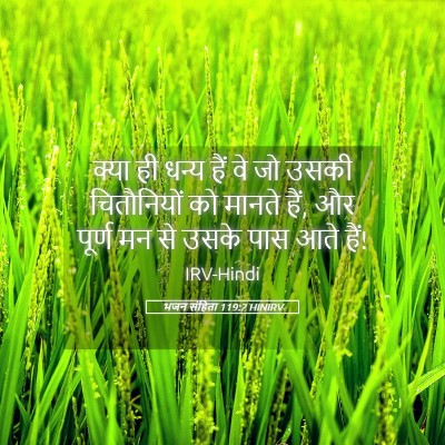 Picture 05 - भजन संहिता 119:2 HINIRV - क्या ही धन्य हैं वे - Bible Verse Picture