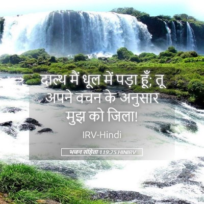 Picture 05 - भजन संहिता 119:25 HINIRV - दाल्थ मैं धूल में - Bible Verse Picture
