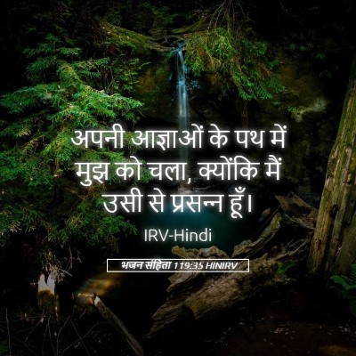 Picture 05 - भजन संहिता 119:35 HINIRV - अपनी आज्ञाओं के पथ - Bible Verse Picture