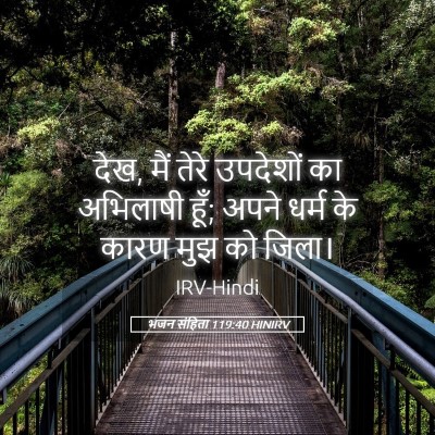 Picture 05 - भजन संहिता 119:40 HINIRV - देख, मैं तेरे - Bible Verse Picture