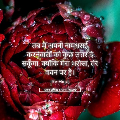 Picture 05 - भजन संहिता 119:42 HINIRV - तब मैं अपनी - Bible Verse Picture