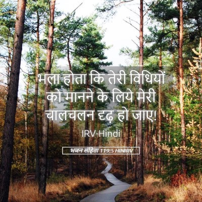 Picture 05 - भजन संहिता 119:5 HINIRV - भला होता कि तेरी - Bible Verse Picture