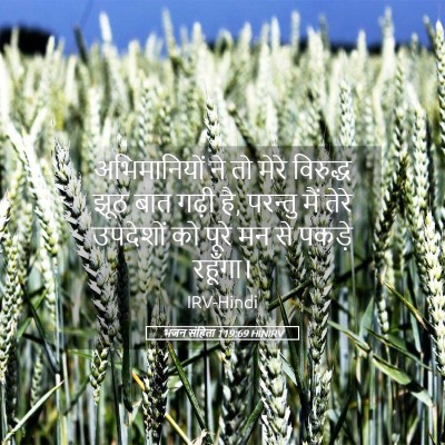 Picture 05 - भजन संहिता 119:69 HINIRV - अभिमानियों ने तो - Bible Verse Picture